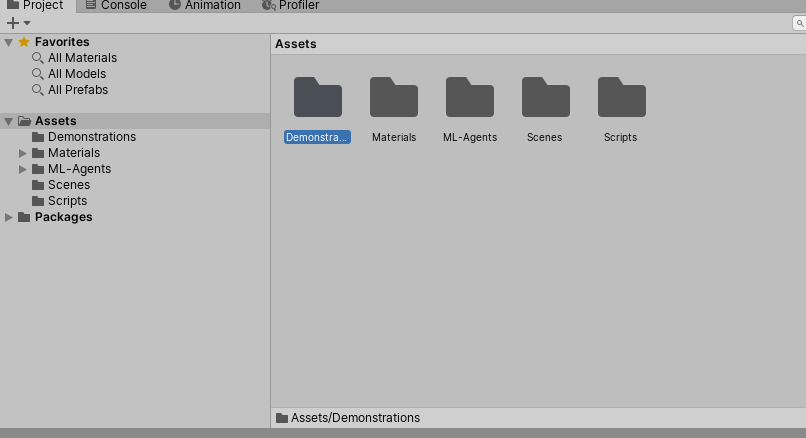 The new "Demonstrations" folder in the project files
