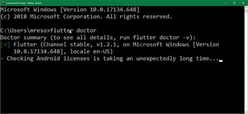Window Command Prompt with Flutter Doctor run