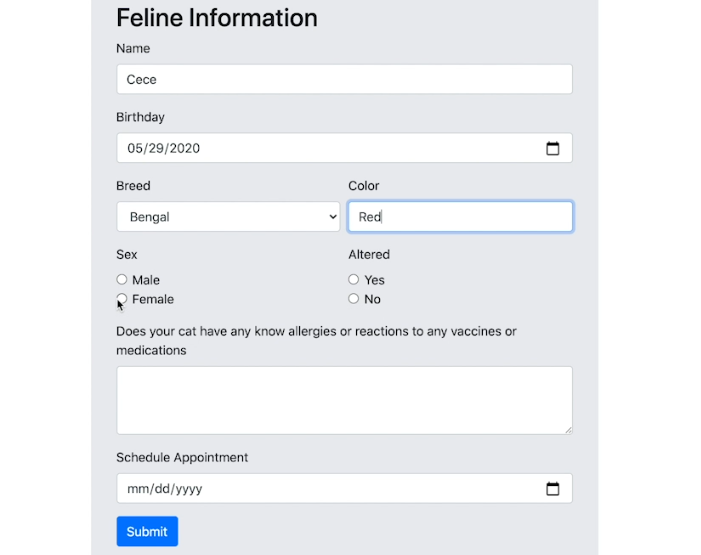 Pet appointment form made with React